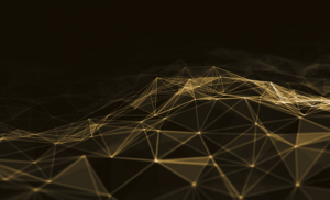 SAP Entwicklung