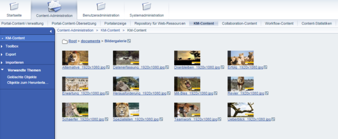 SAP Portal Einblick in die Bildergalerie