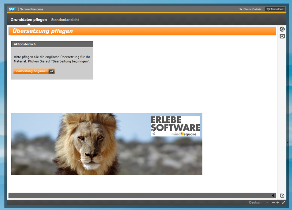 SAP Screen Personas: Grunddaten pflegen.