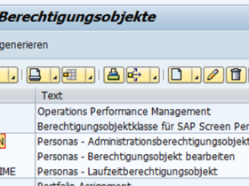 berechtigungsobjekte sap screen personas 3.0