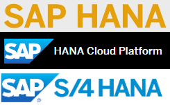 SAP HANA DB, HANA Cloud Platform, S/4HANA