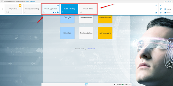 SAP Screen Personas: angelegte Flavors