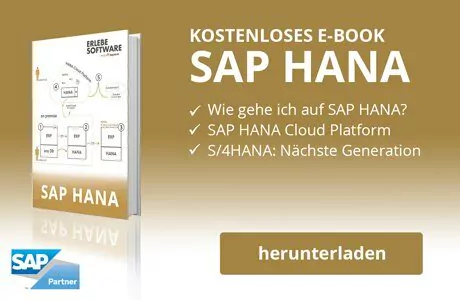 SAP HANA E-Book