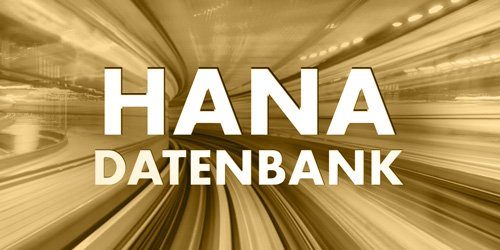 SAP HANA DB Kategorie