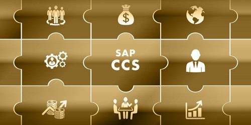 SAP CCS Kategorie