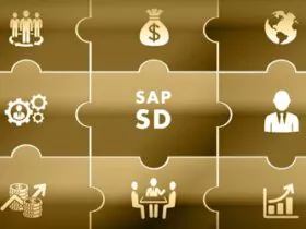 SAP SD Kategorie