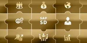 SAP SD Kategorie