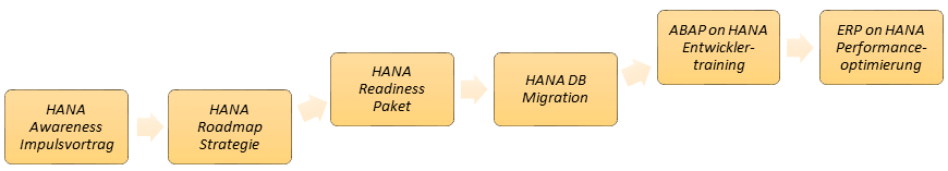 HANA_angebotsstruktur