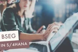 BSEG