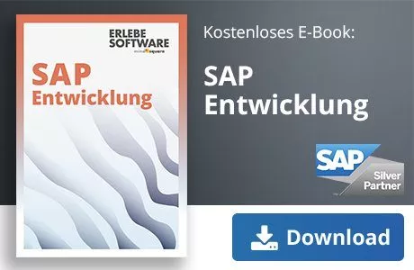 SAP HANA Entwicklung