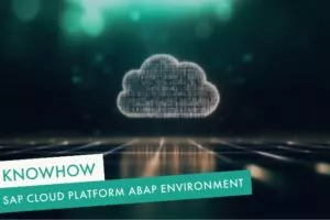 SAP Cloud Platform ABAP Environment