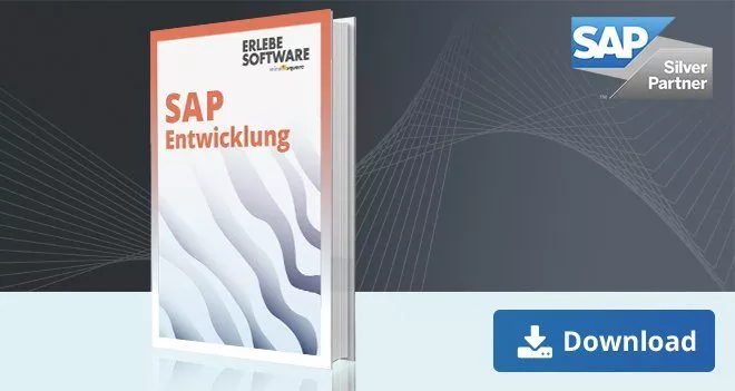 SAP HANA Entwicklung