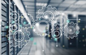 Rise with SAP Serviceumfang