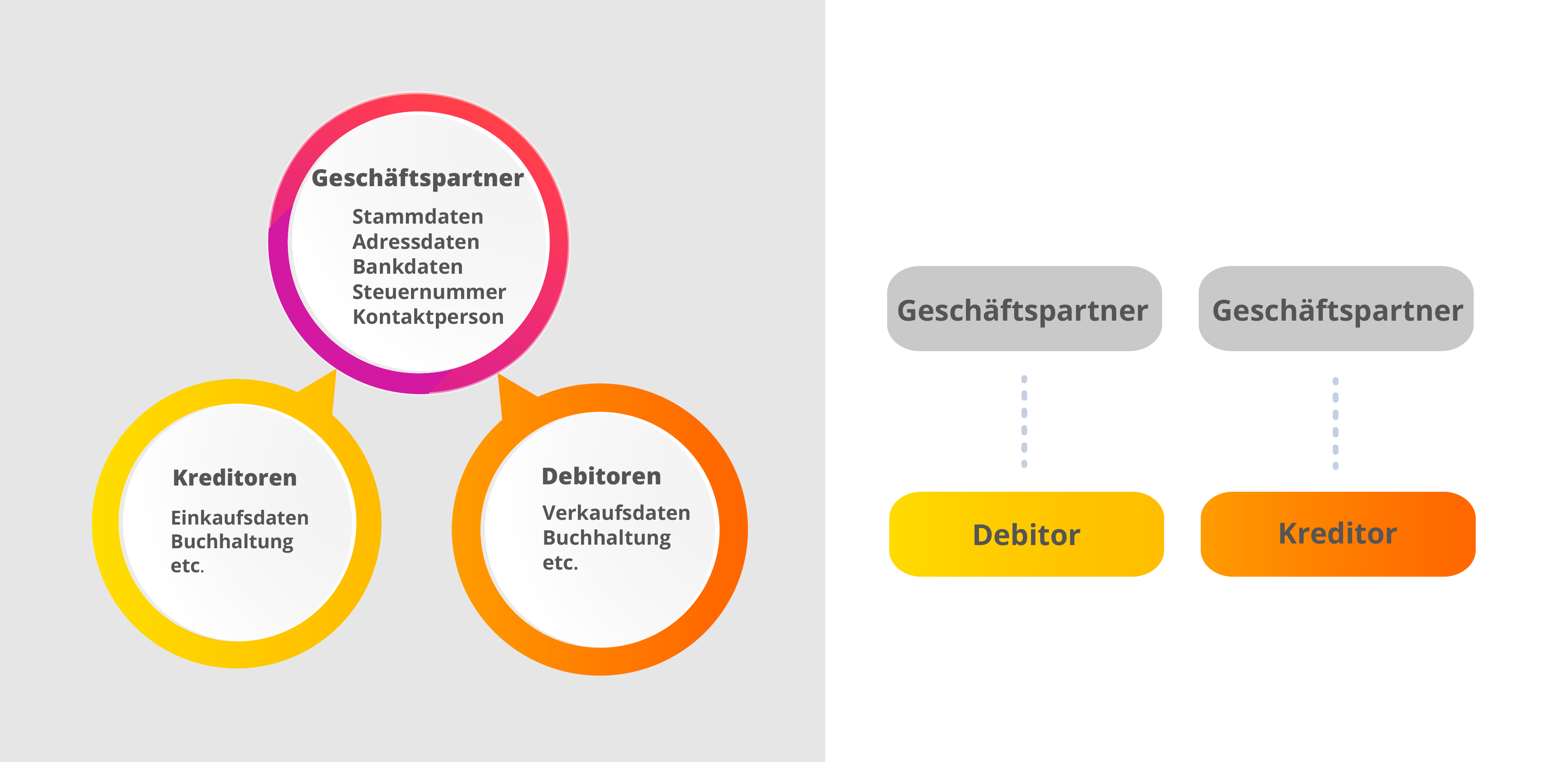 Nutzungsvarianten das SAP Geschäftspartners - Kreditoren und Debitoren