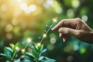 GROW with SAP vs RISE with SAP