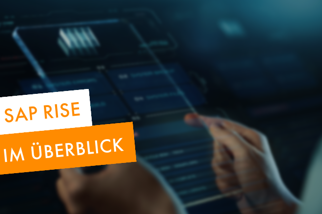 RISE with SAP entschlüsselt: Was im Service enthalten ist und was nicht