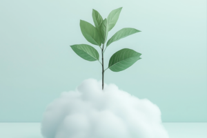 SAP Cloud Business Suite