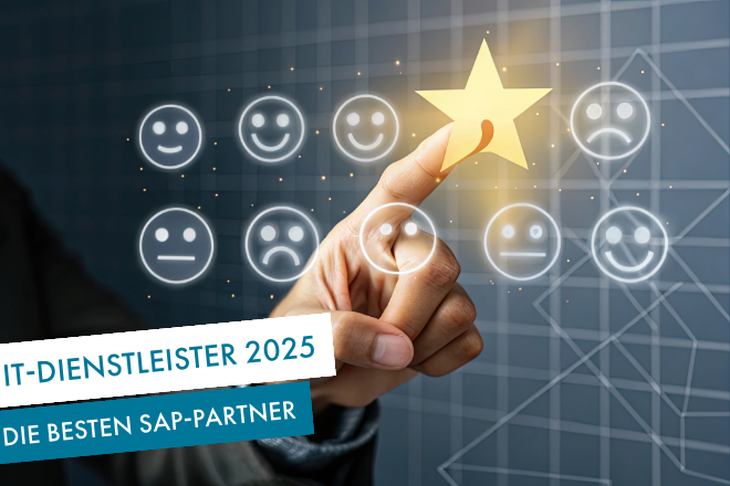 IT-Dienstleister 2025