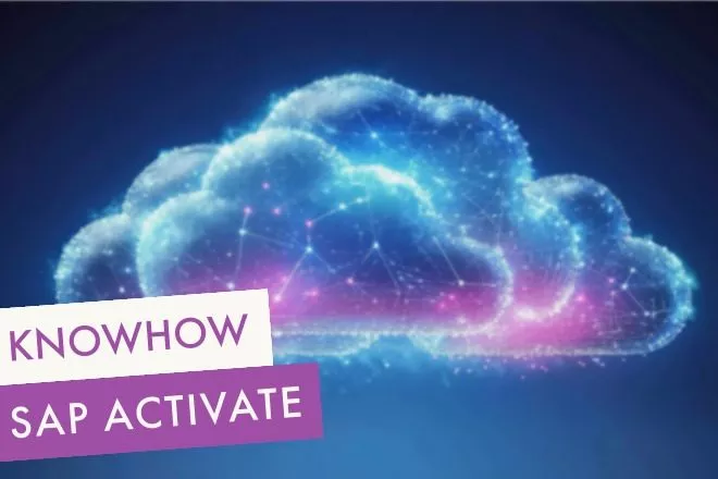 SAP Activate
