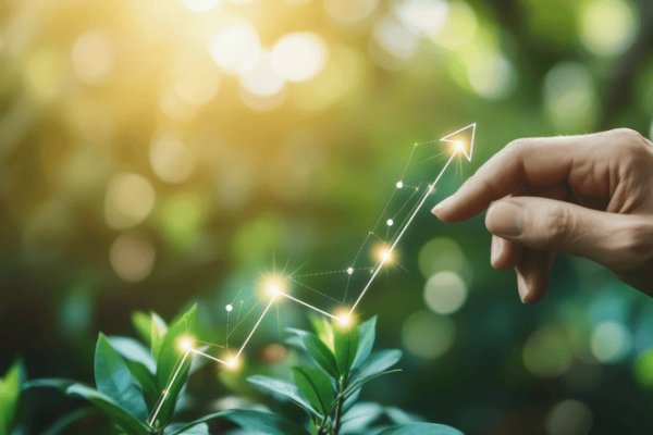 GROW with SAP vs RISE with SAP