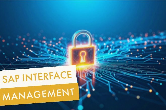 SAP Interface Management